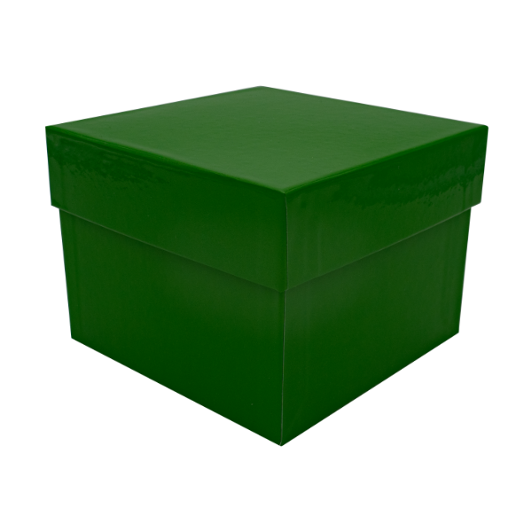 Kryobox aus Karton 136 x 136 x 75 - Kunststoff Beschichtung grün