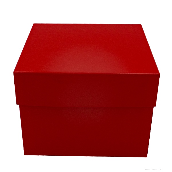 roter-hoher-karton-front Kryobox aus Karton 136 x 136 x 75 - Kunststoff Beschichtung rot