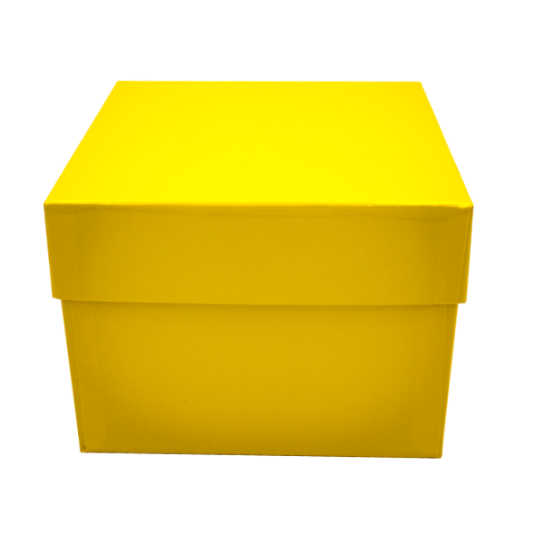gelber-hoher-karton-front Kryobox aus Karton 136 x 136 x 75 - Kunststoff Beschichtung gelb