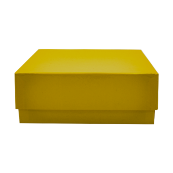 gelber-karton-front Kryobox aus Karton 136 x 136 x 50 - Kunststoff Beschichtung gelb