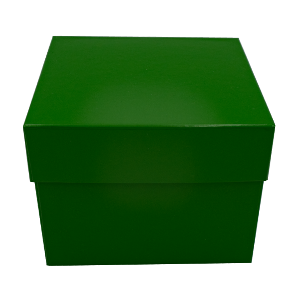 gr-ner-hoher-karton-front Kryobox aus Karton 136 x 136 x 75 - Kunststoff Beschichtung grün