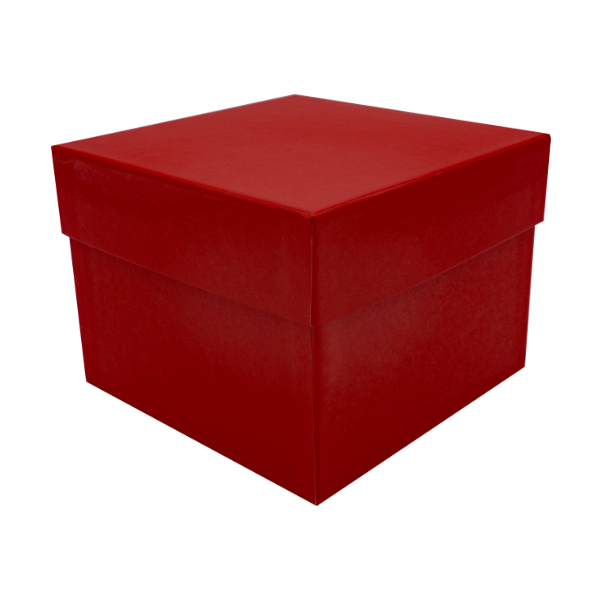Kryobox aus Karton 136 x 136 x 75 - Kunststoff Beschichtung rot