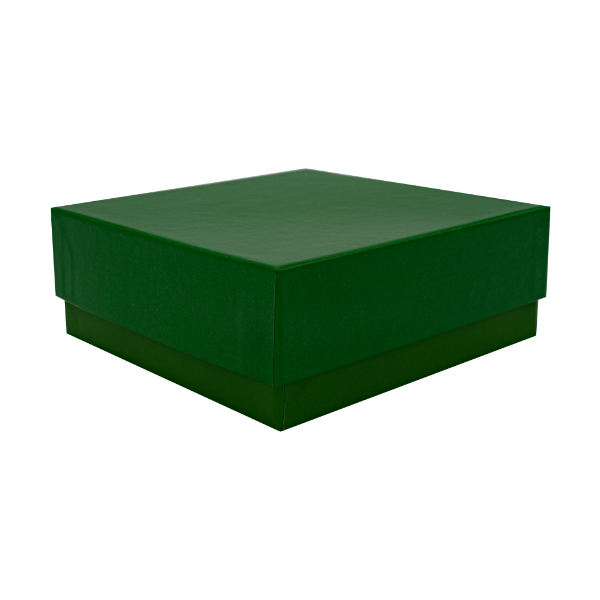 Grüner Karton mit Deckel und Glanz - Eckenansicht