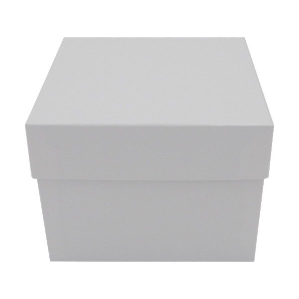 Kryobox aus Karton 148 x 148 x 125 - Standard weiß