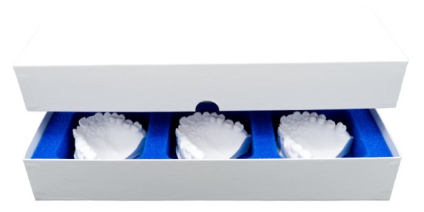 Dental Verpackung 3er - Mit Deckel und Schaumstoff-Inlay