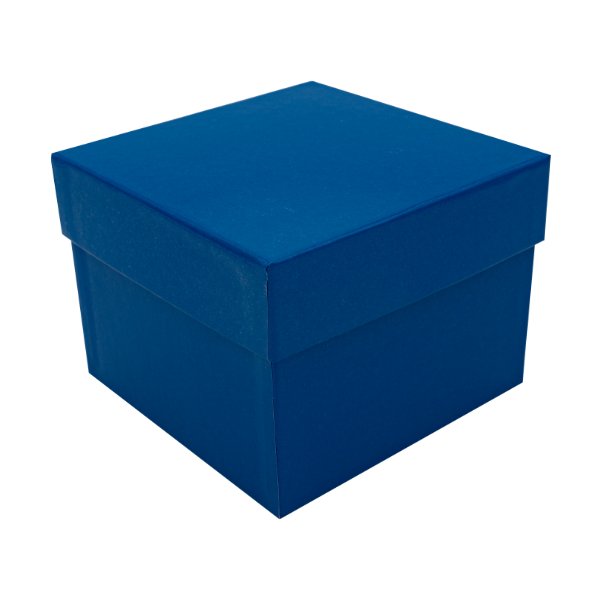 Blauer hoher Karton mit Deckel - Eckenansicht